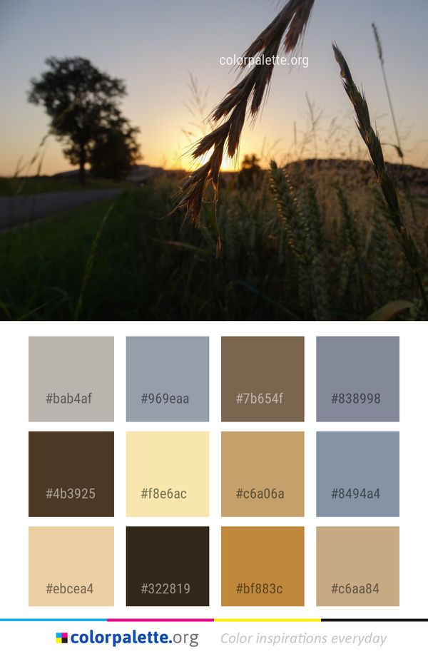 Sky Field Grass Family Color Palette