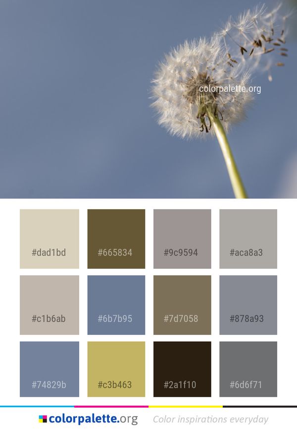Sky Flower Dandelion Color Palette