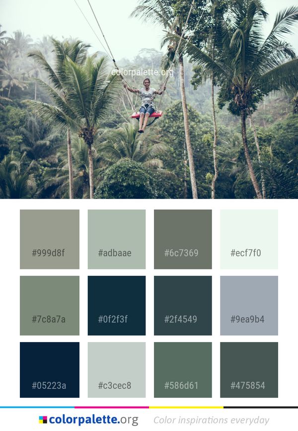 Tree Forest Jungle Color Palette
