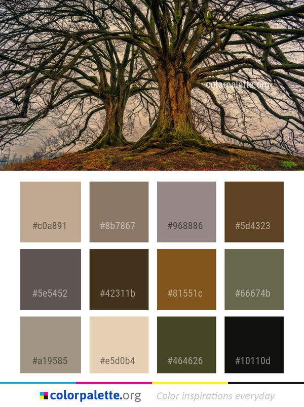Tree Nature Branch Color Palette