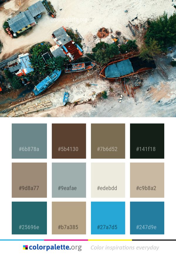 Water Tree Aerial Photography Color Palette