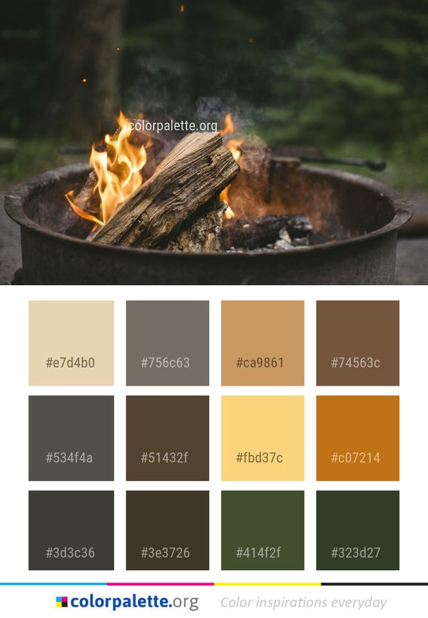 Campfire Grilling Outdoor Grill Color Palette