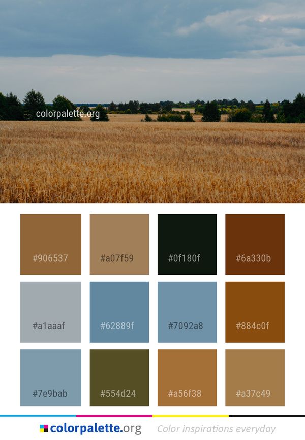 Field Sky Cloud Color Palette
