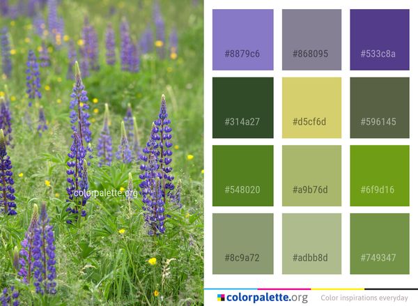 Flower Plant Ecosystem Color Palette