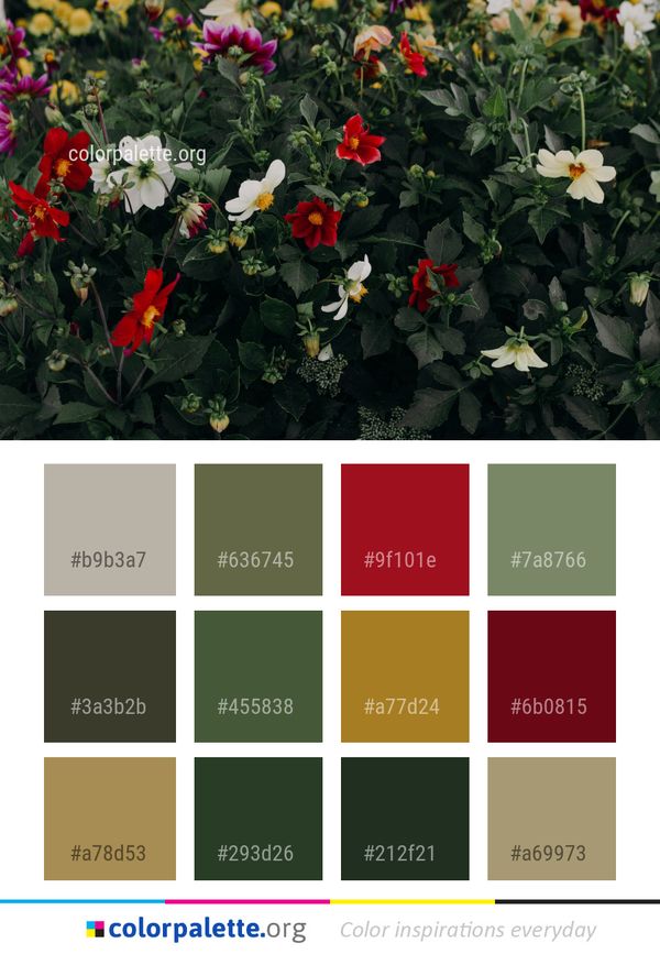 Flower Plant Flowering Color Palette