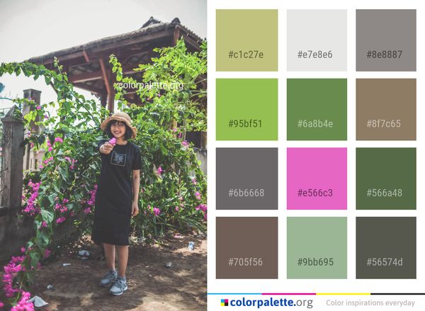 Flower Plant Pink Color Palette