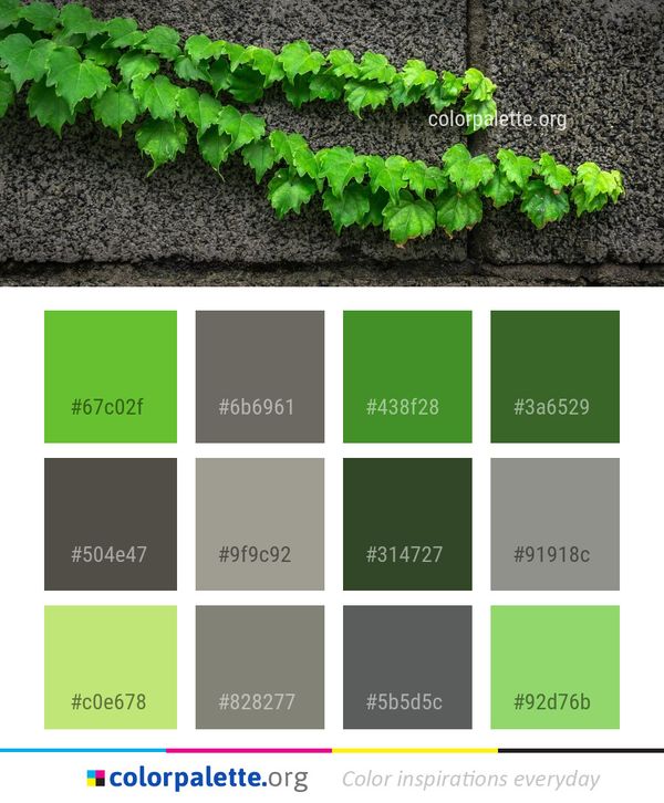 Green Leaf Plant Color Palette