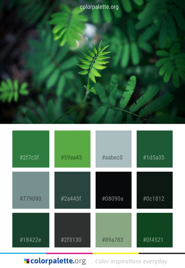 Green Vegetation Leaf Color Palette