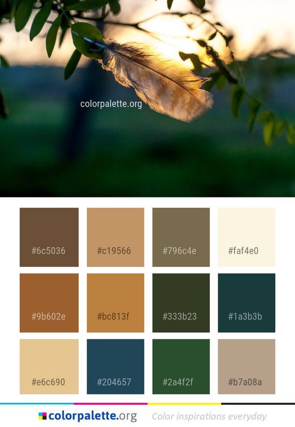 Leaf Flora Branch Color Palette