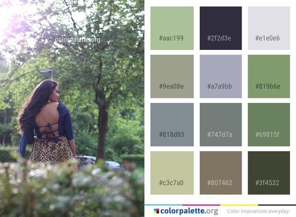 Nature Photograph Tree Color Palette