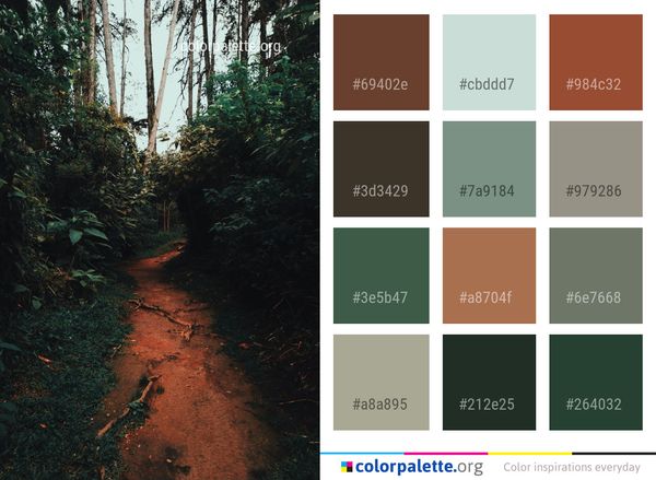Path Nature Tree Color Palette