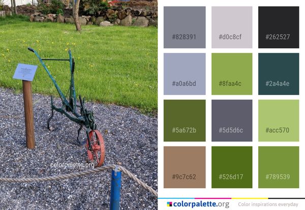 Plant Grass Soil Color Palette