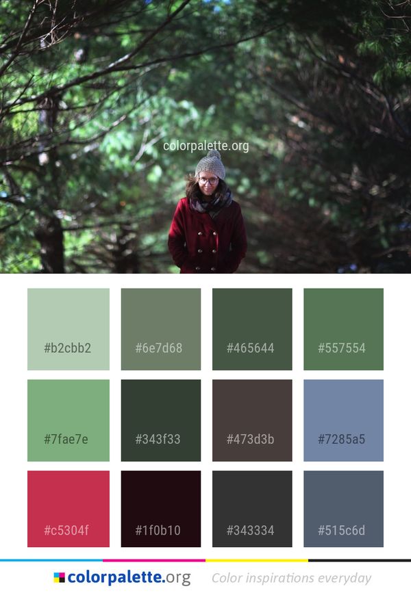 Tree Nature Green Color Palette