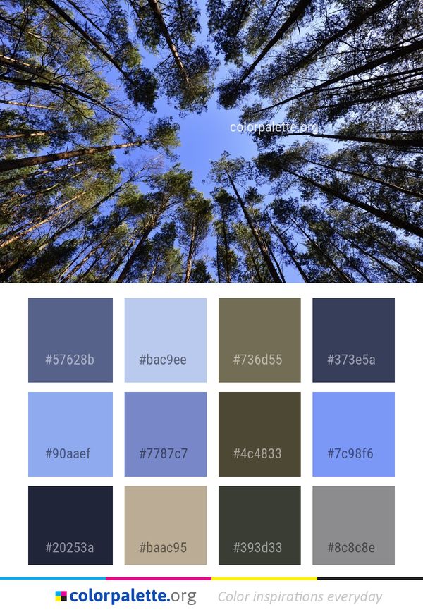 Tree Sky Nature Color Palette
