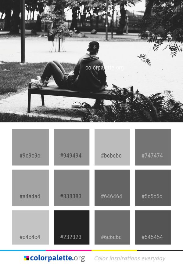White Black Photograph Color Palette