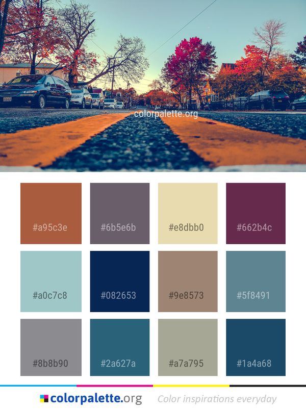 Winter Snow Tree Color Palette