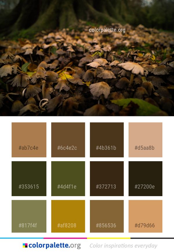 Leaf Vegetation Autumn Color Palette