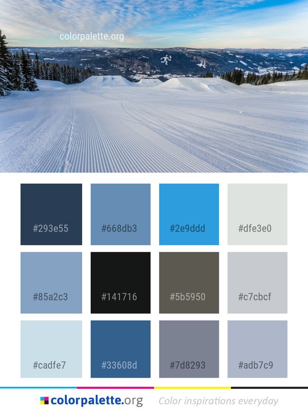 Piste Winter Snow Color Palette