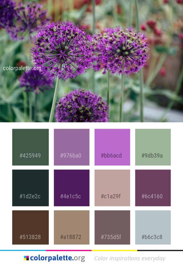 Plant Flower Purple Color Palette