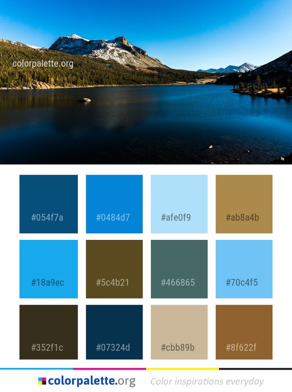 Reflection Nature Water Color Palette