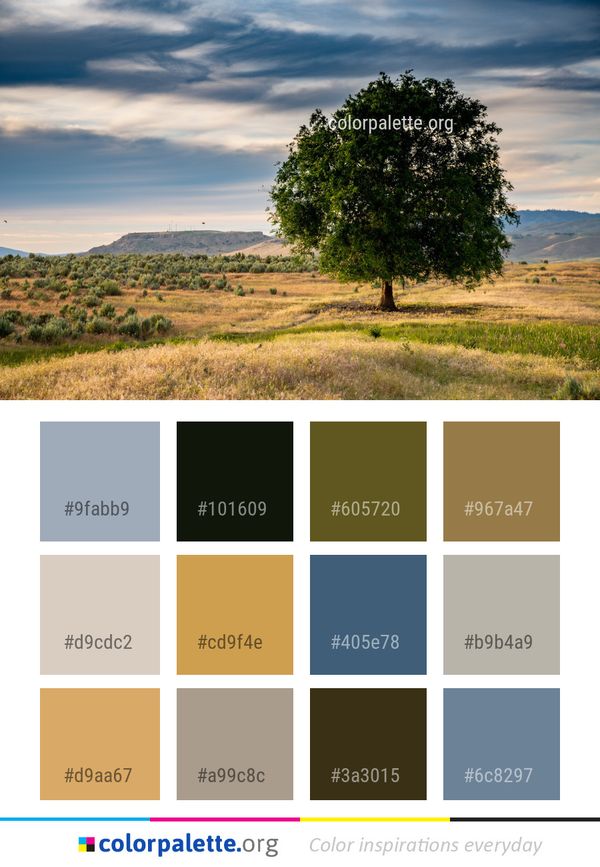 Sky Grassland Tree Color Palette