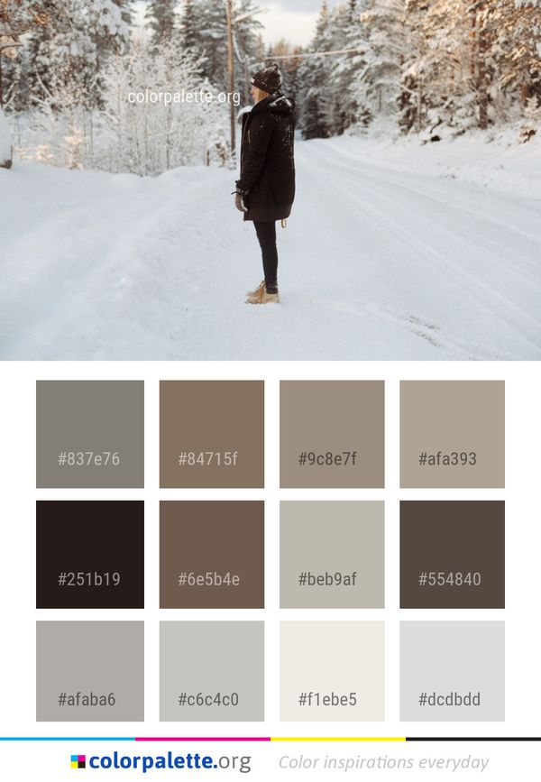 Snow Winter Freezing Color Palette