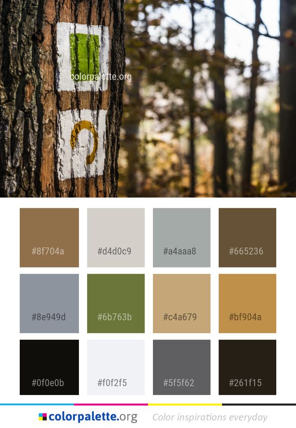 Tree Nature Woody Plant Color Palette