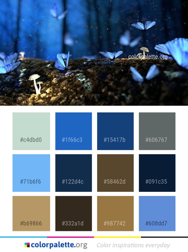 Water Pollinator Insect Color Palette