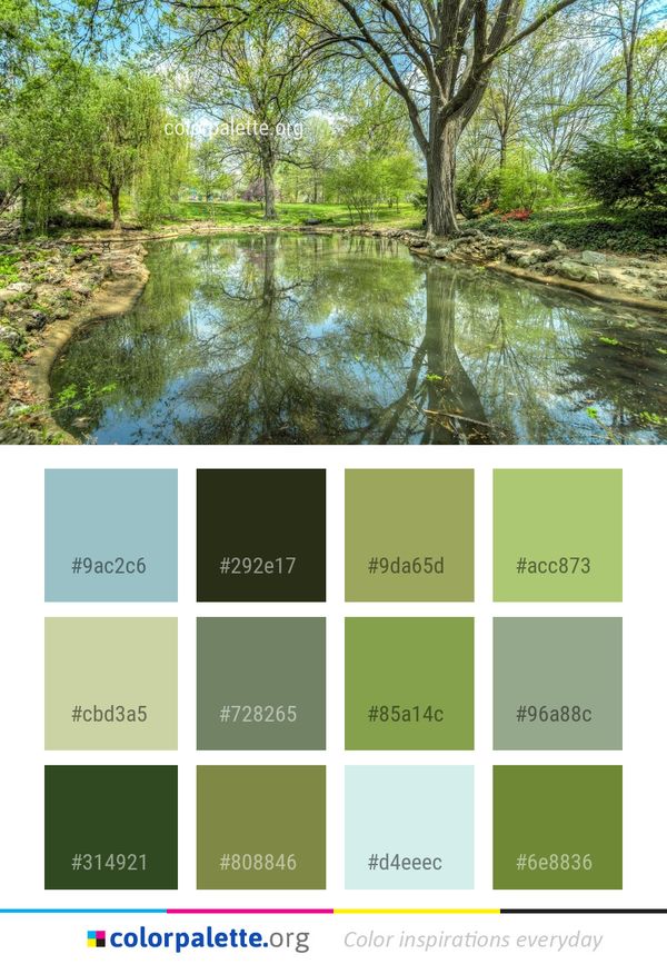 Waterway Water Nature Reserve Color Palette