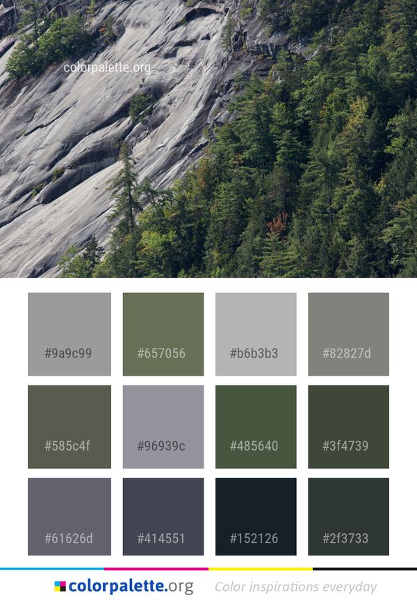Wilderness Mountain Tree Color Palette