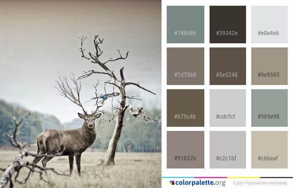 Deer Wildlife Fauna Color Palette