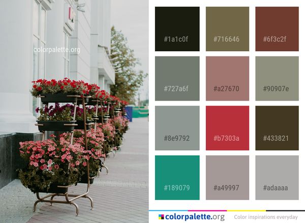 Flower Plant Flora Color Palette