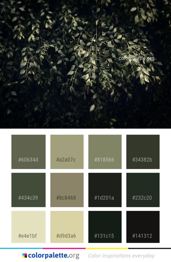 Leaf Branch Plant Color Palette