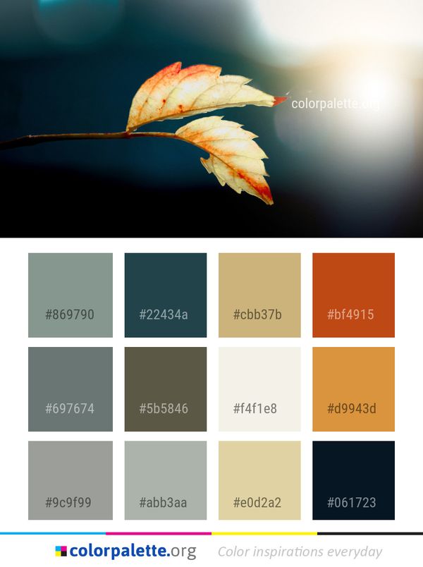 Leaf Close Up Macro Photography Color Palette