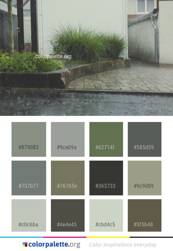 Property Walkway Courtyard Color Palette