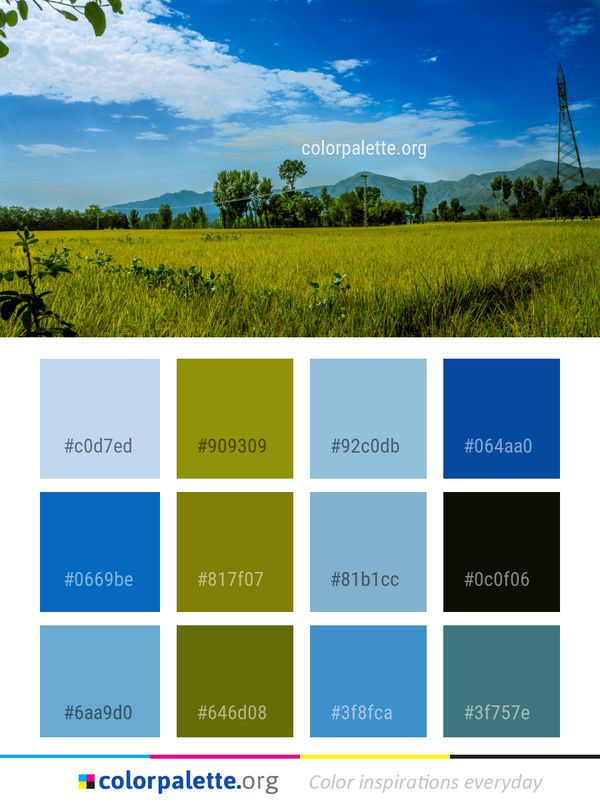 Sky Grassland Field Color Palette