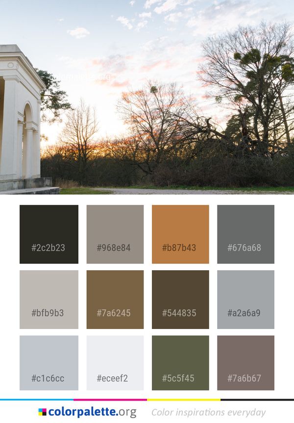 Sky Tree Cloud Color Palette