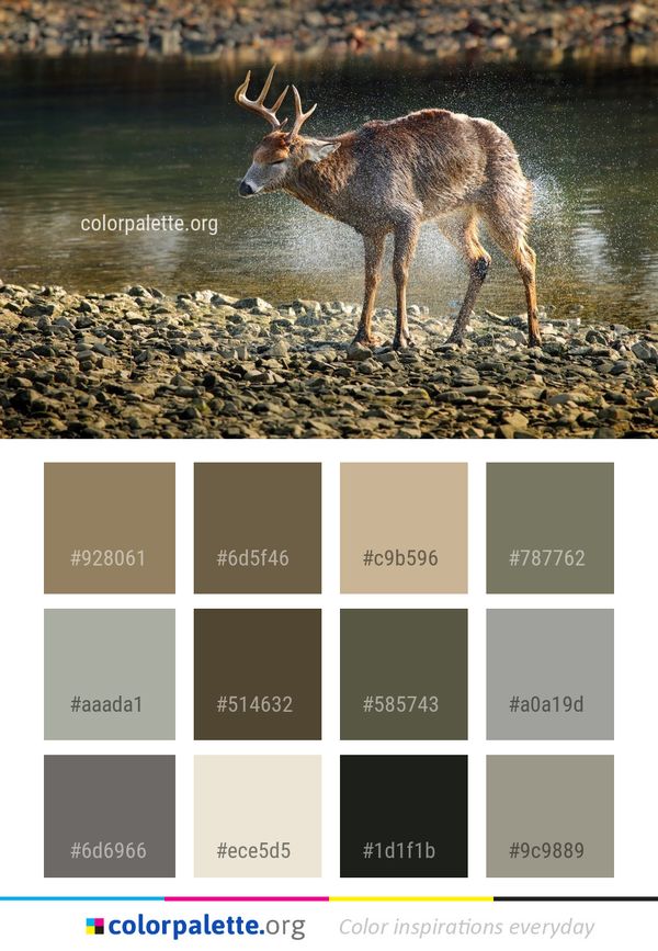 Wildlife Deer Fauna Color Palette