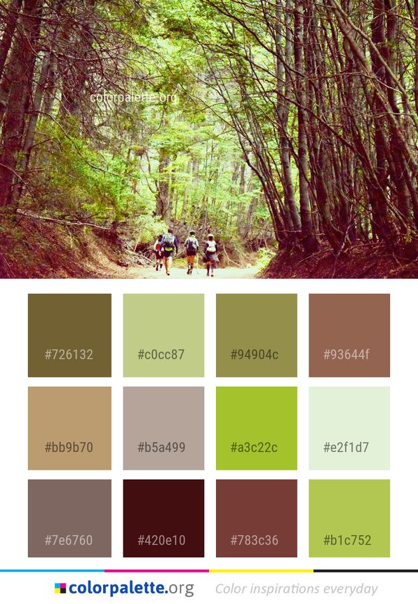 Woodland Forest Nature Color Palette