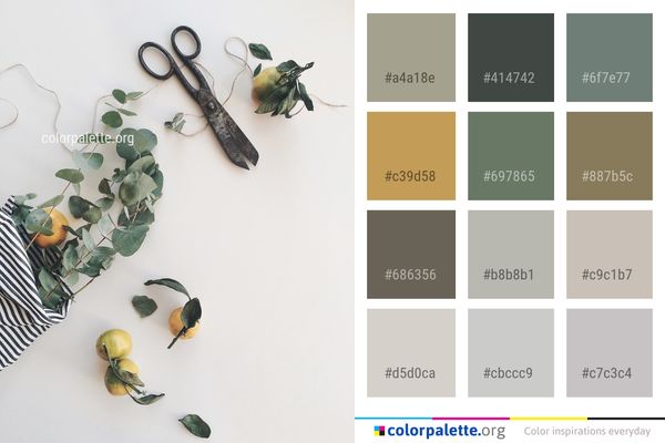Colorful Color Palette