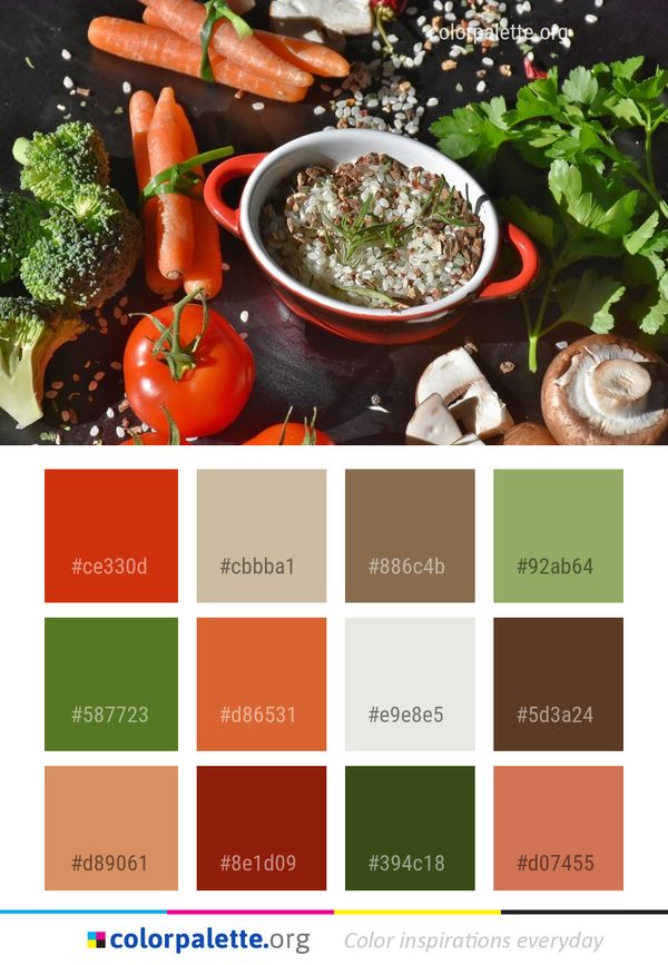 Dish Food Vegetable Color Palette