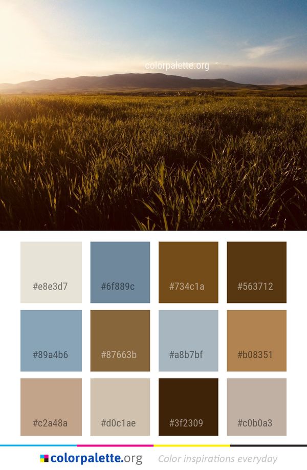 Ecosystem Grassland Sky Color Palette