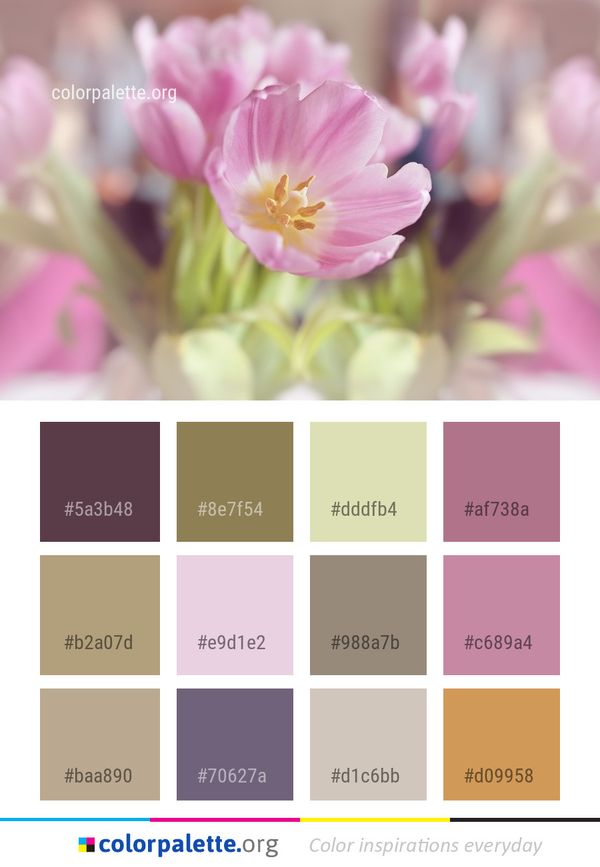 Flower Pink Flora Color Palette