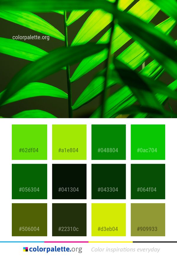 Green Leaf Close Up Color Palette