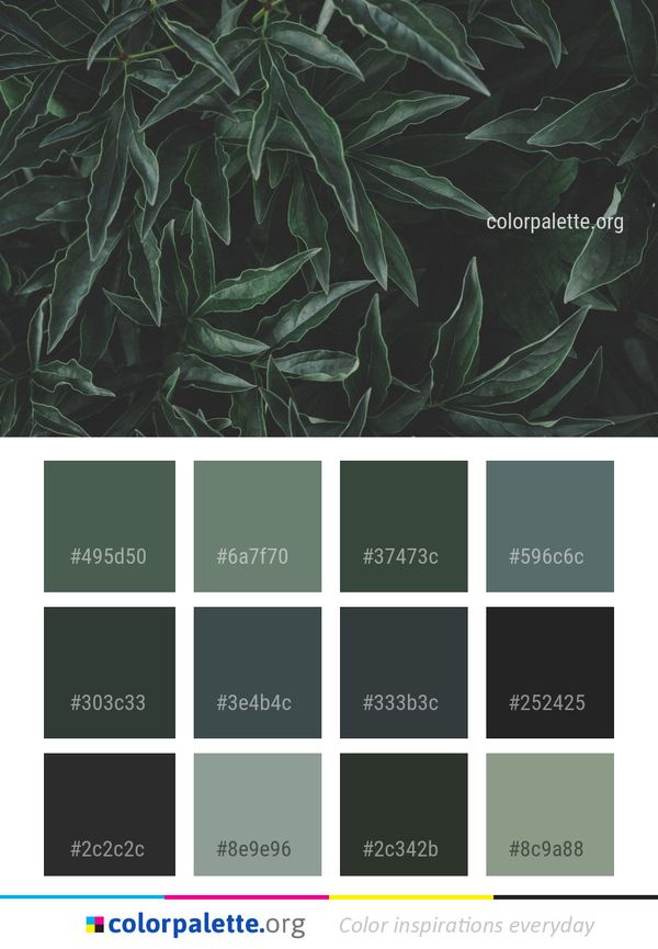 Green Leaf Plant Color Palette