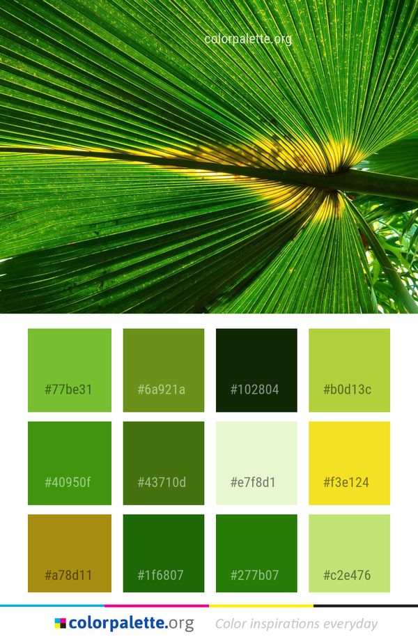 Leaf Green Vegetation Color Palette