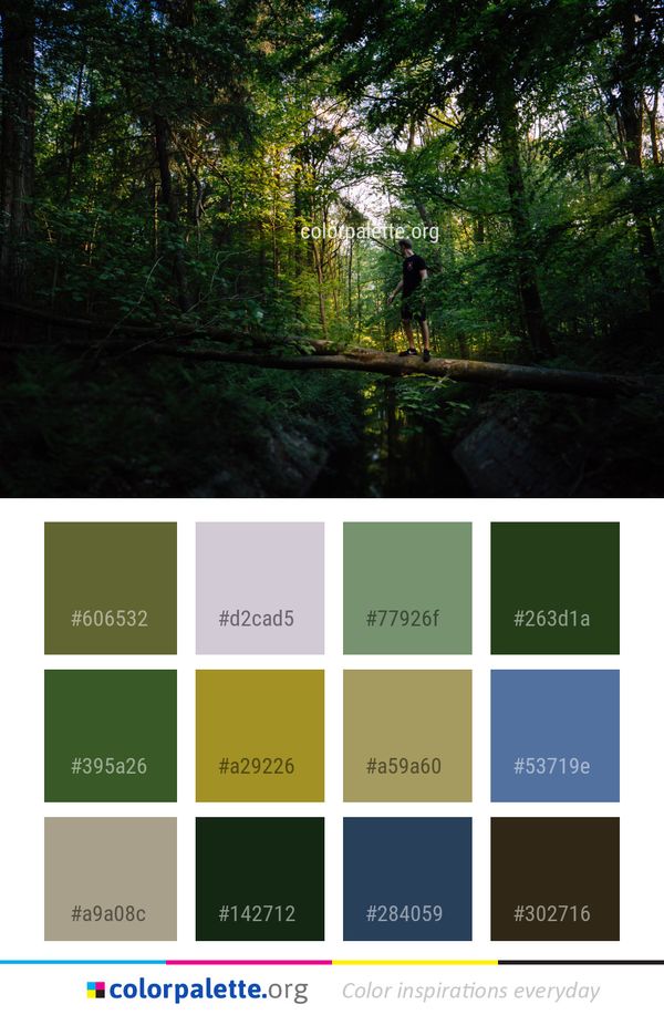 Nature Green Forest Color Palette