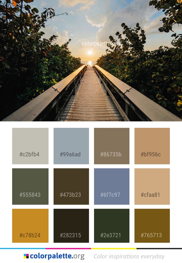 Sky Nature Tree Color Palette