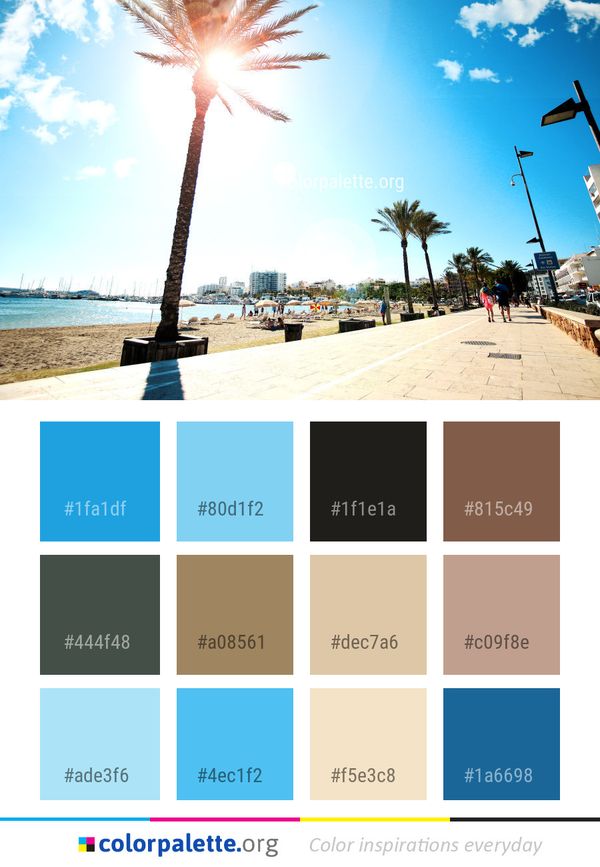 Sky Sea Palm Tree Color Palette