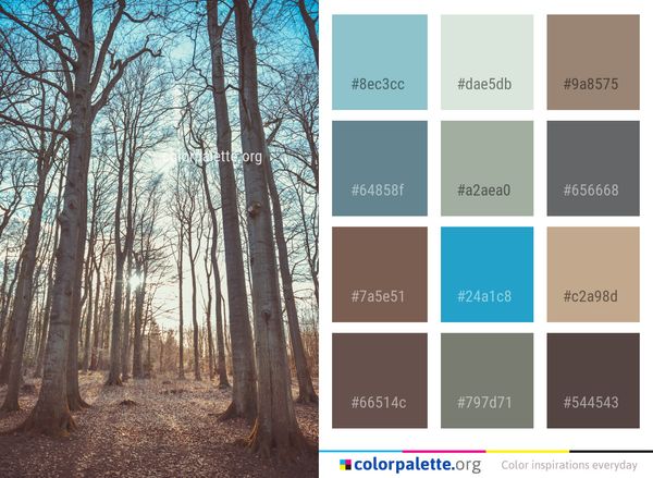 Tree Woodland Nature Color Palette
